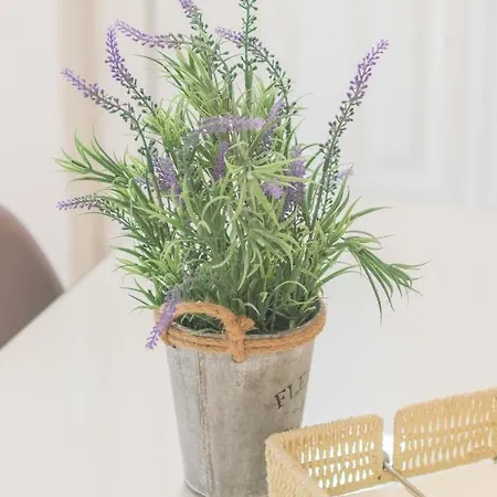Pasithea Apts Apartment Almirida
